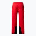 Vyriškos slidinėjimo kelnės The North Face Chakal Regular elevation red 5