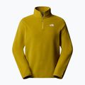 Vyriškas fliso džemperis The North Face Glacier Fleece 1/4 Zip deep dijon 4