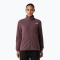 Moteriškas fliso džemperis The North Face Glacier Fleece tawny quartz