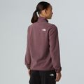 Moteriškas fliso džemperis The North Face Glacier Fleece tawny quartz 3