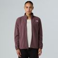 Moteriškas fliso džemperis The North Face Glacier Fleece tawny quartz 4
