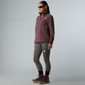 Moteriškas fliso džemperis The North Face Glacier Fleece 1/4 Zip tawny quartz 2