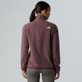 Moteriškas fliso džemperis The North Face Glacier Fleece 1/4 Zip tawny quartz 3