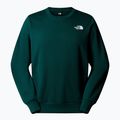 Vyriškas džemperis The North Face Simple Dome Crew hunter green 4