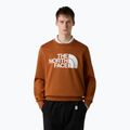 Vyriškas džemperis The North Face Easy Crew burnt umber