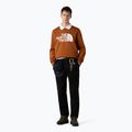 Vyriškas džemperis The North Face Easy Crew burnt umber 2