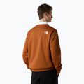 Vyriškas džemperis The North Face Easy Crew burnt umber 3