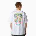Vyriški marškinėliai The North Face Expedition Celebration Oversized white 2