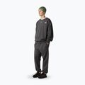 Vyriškos kelnės The North Face Expedition Celebration Relaxed Jogger Reg anthracite grey 2