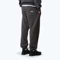 Vyriškos kelnės The North Face Expedition Celebration Relaxed Jogger Reg anthracite grey 3