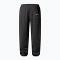 Vyriškos kelnės The North Face Expedition Celebration Relaxed Jogger Reg anthracite grey 5