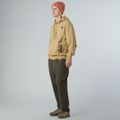 Vyriškas džemperis The North Face Mountain Logo Relaxed Hooded khaki stone 2