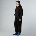 Vyriškas džemperis The North Face Icon Relaxed Hooded black 2