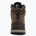 Vyriški batai The North Face Back To Berkeley IV Leather WP demitasse brown/garnet 6