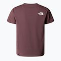 Vaikiški marškinėliai The North Face Simple Dome Tawny Quartz 2