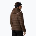 Moteriška pūsta striukė The North Face Down Hooded smokey brown 3