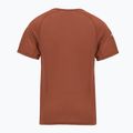 Vyriški termoaktyvūs marškinėliai Smartwool Merino Sport 120 burnt sienna 2