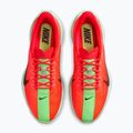 Vyriški bėgimo bateliai Nike Pegasus Plus bright crimson / cave purple / lime blast 7