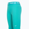 Moteriškos tamprės Nike 365 Tight dusty cactus/white 3