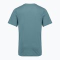 Vyriški marškinėliai Nike Dri-Fit smokey blue 2