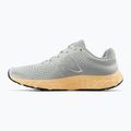 Moteriški bėgimo bateliai New Balance Fresh Foam 520 v8 grey 10