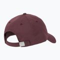 Moteriška kepuraitė su snapeliu New Balance 6 Panel Linear Logo fadedplu 2