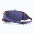 Patagonia Terravia Tote solstice purpurinis inkstų maišelis 2
