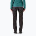 Moteriškos kelnės Patagonia Terravia Alpine Pants black w/ink black 3
