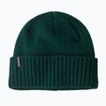 Žieminė kepurė Patagonia Brodeo Beanie cascade green