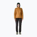 Moteriška šilta striukė Patagonia Nano Puff smolder talon gold 2