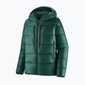 Vyriška pūsta striukė Patagonia Fitz Roy Down Hoody cascade green