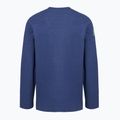 Vyriškas džemperis Patagonia Lightweight Unity Fitz Wildrise Crew clement blue 2