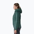 Moteriška pūsta striukė Patagonia Down Sweater Hoody cascade green 4