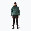 Vyriška pūsta striukė Patagonia Down Sweater Hoody cascade green 2