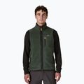 Vyriška liemenė Patagonia Retro Pile Fleece old growth green