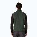 Vyriška liemenė Patagonia Retro Pile Fleece old growth green 2
