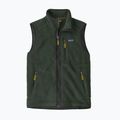 Vyriška liemenė Patagonia Retro Pile Fleece old growth green
