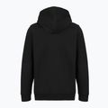 Vyriškas džemperis Patagonia '95 Oval Logo Uprisal Hoody Black: Kaleido 2