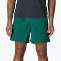 Vyriški šortai Patagonia Baggies 5" 95 oval logo/gem green 4