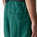 Vyriški šortai Patagonia Baggies 5" 95 oval logo/gem green 7
