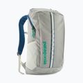 Miestinis kuprinė Patagonia Black Hole Pack 25 l birch white