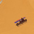Vyriški marškinėliai Patagonia '73 Skyline T-Shirt dried mango 3