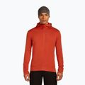 Icebreaker Merino 260 Quantum IV Zip Hoodie vyriška striukė su kapišonu agate