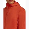Icebreaker Merino 260 Quantum IV Zip Hoodie vyriška striukė su kapišonu agate 8