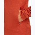 Icebreaker Merino 260 Quantum IV Zip Hoodie vyriška striukė su kapišonu agate 9