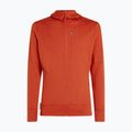 Icebreaker Merino 260 Quantum IV Zip Hoodie vyriška striukė su kapišonu agate 10