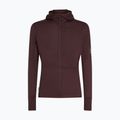 Vyriškas žygio džemperis icebreaker Merino 200 RealFleece Descender Zip Hoodie java 10