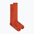 Vyriškos slidinėjimo kojinės icebreaker Merino Ski+ Ultralight OTC fervid/agate 2