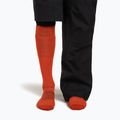 Vyriškos slidinėjimo kojinės icebreaker Merino Ski+ Ultralight OTC fervid/agate 4