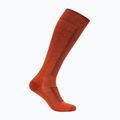 Vyriškos slidinėjimo kojinės Icebreaker Merino Ski+ Medium OTC fervid/agate/java